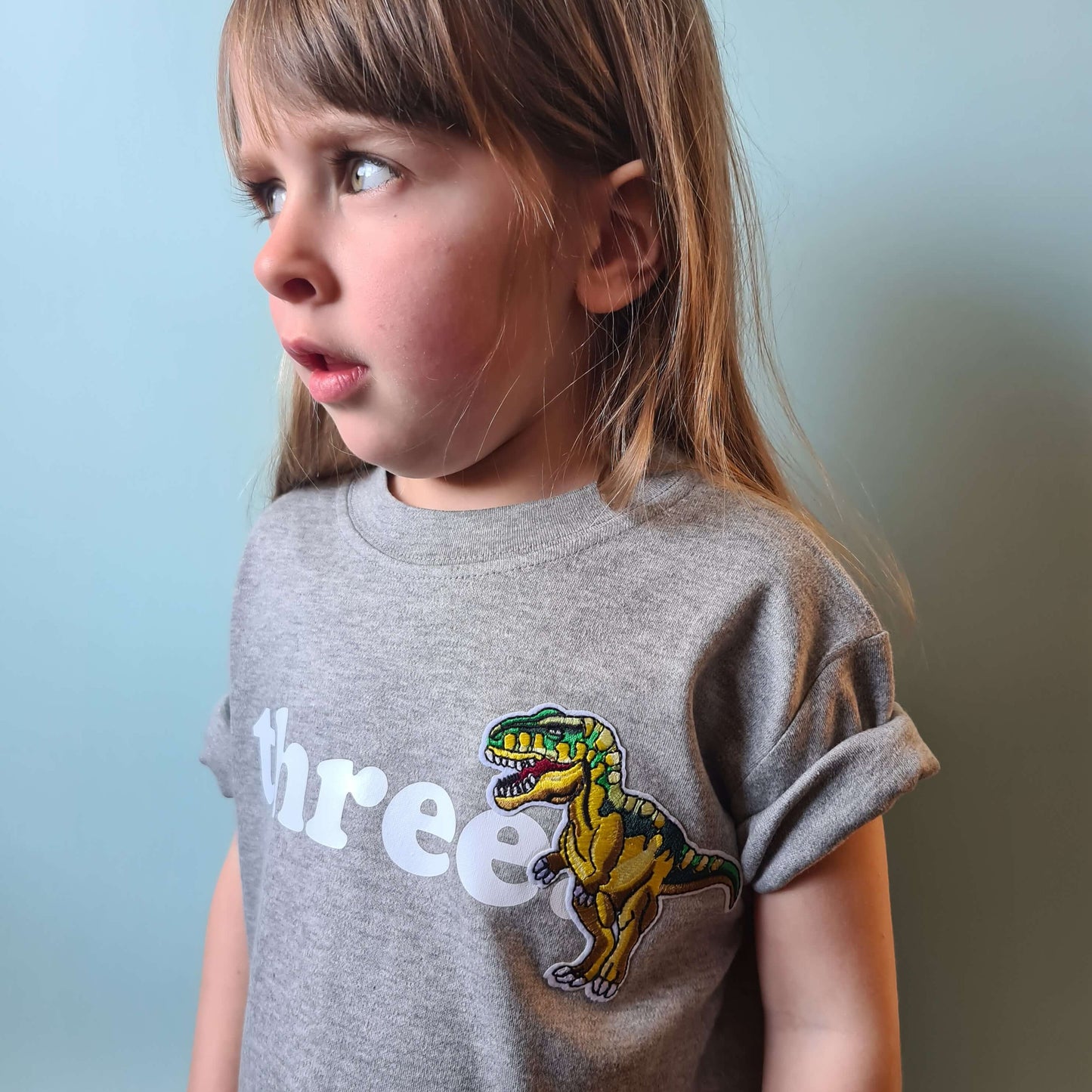 Toddler wearing grey dinosaur birthday tshirt