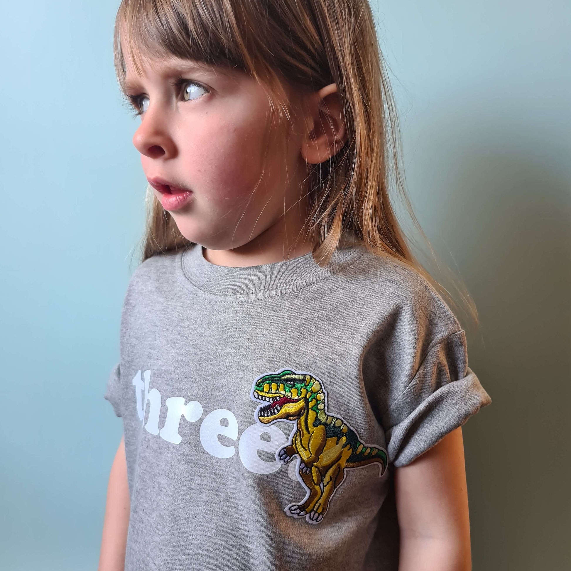 Toddler wearing grey dinosaur birthday tshirt