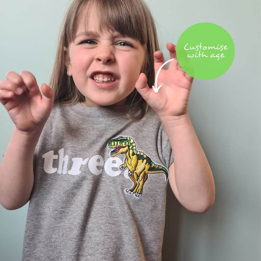 child wearing grey birthday tshirt with 'three' written in white ad embroidered t-rex dinosaur. t-shirt from The Joyful Rebel